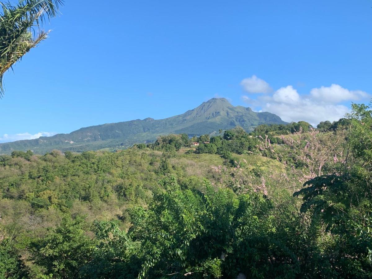 Lodge Colibris Vue Panoramique Mer Et Montagne Pelee , 500 M Plage Dans Un Parc , Calme Assure Ideal Pour Decouvrir Le Nord Caraibes Le Carbet Exteriér fotografie