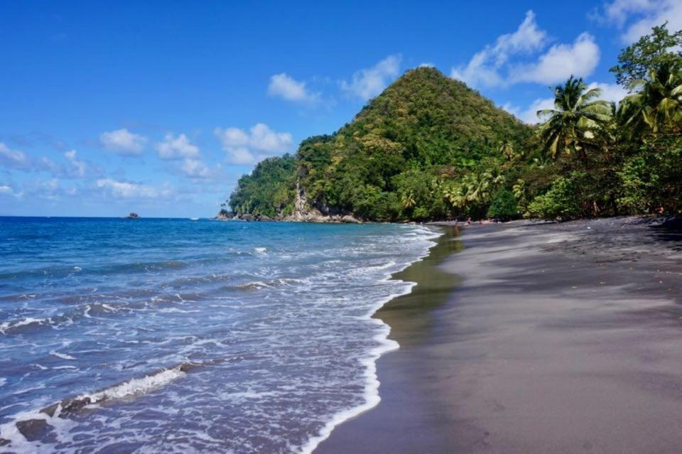 Lodge Colibris Vue Panoramique Mer Et Montagne Pelee , 500 M Plage Dans Un Parc , Calme Assure Ideal Pour Decouvrir Le Nord Caraibes Le Carbet Exteriér fotografie