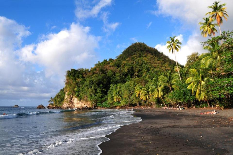 Lodge Colibris Vue Panoramique Mer Et Montagne Pelee , 500 M Plage Dans Un Parc , Calme Assure Ideal Pour Decouvrir Le Nord Caraibes Le Carbet Exteriér fotografie