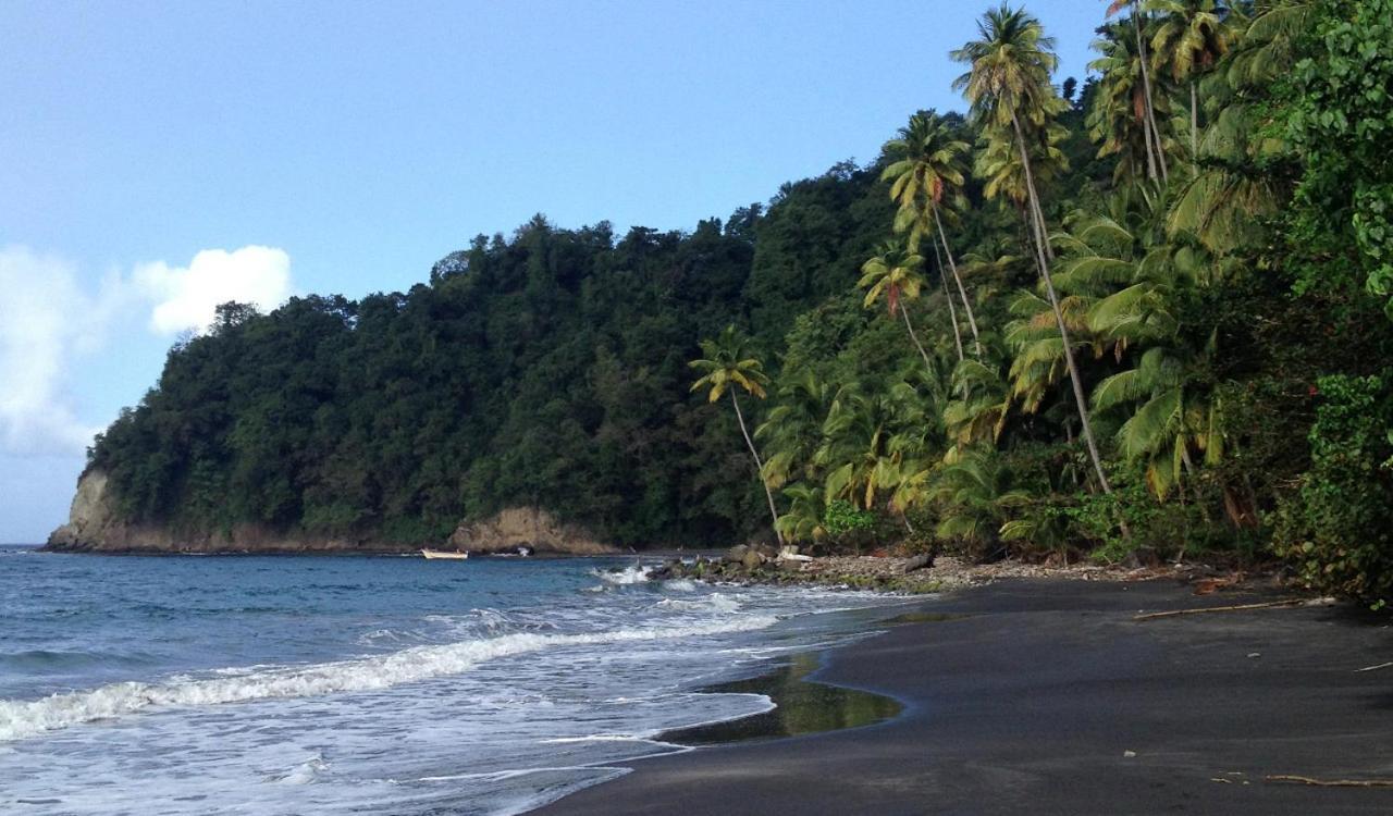 Lodge Colibris Vue Panoramique Mer Et Montagne Pelee , 500 M Plage Dans Un Parc , Calme Assure Ideal Pour Decouvrir Le Nord Caraibes Le Carbet Exteriér fotografie