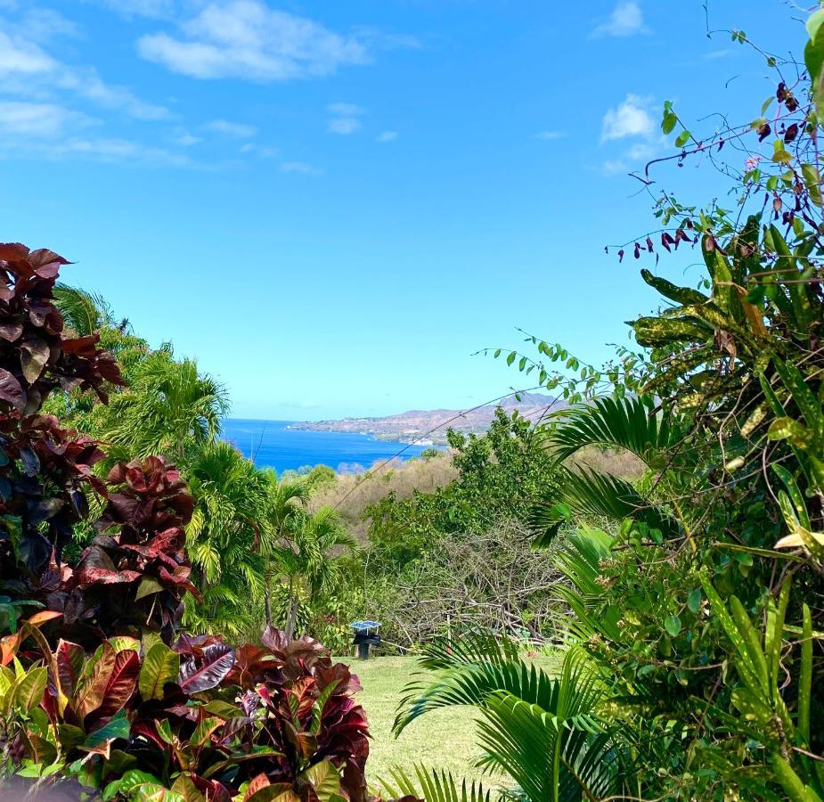 Lodge Colibris Vue Panoramique Mer Et Montagne Pelee , 500 M Plage Dans Un Parc , Calme Assure Ideal Pour Decouvrir Le Nord Caraibes Le Carbet Exteriér fotografie