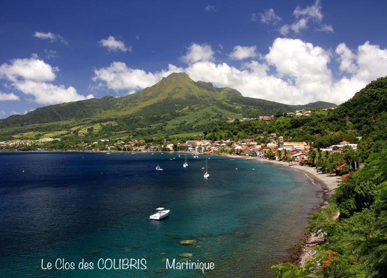 Lodge Colibris Piscine Privee Vue Panoramique Mer Et Montagne Pelee , 500 M Plage Dans Un Parc , Calme Assure Ideal Pour Decouvrir Le Nord Caraibes Le Carbet Exteriér fotografie
